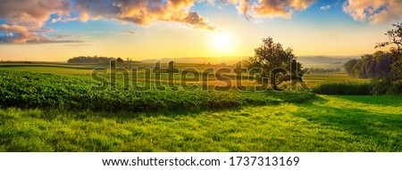 Similar – Image, Stock Photo Summer landscape with fields, meadows, lake and mountains. Road on the lakeside