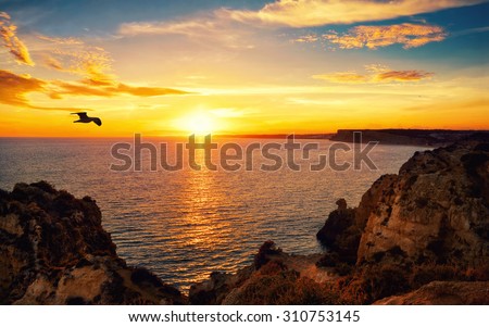 Tranquil sunset scenery at the ocean with the sunlight reflected on the water, a flying bird and the rocky coast