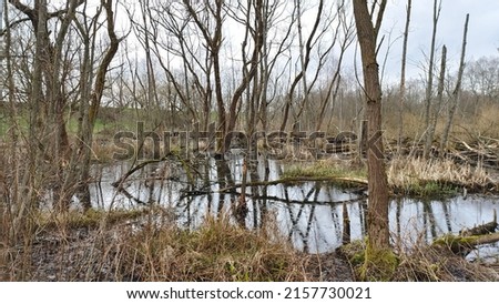 Similar – Foto Bild besetzt | hier wohn ich!