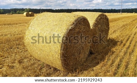 Similar – Image, Stock Photo Field with straw roll points