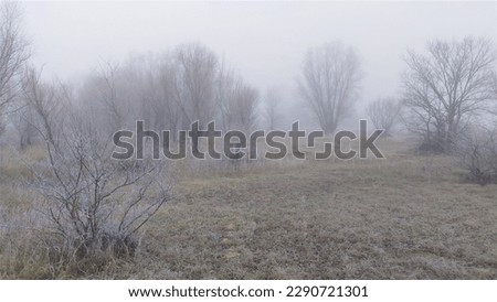 Similar – Image, Stock Photo frosty autumn day