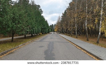 Image, Stock Photo sidewalk Turn off Asphalt