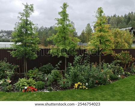 Similar – Foto Bild Blumenbeet mit verschiedenen Blumen im Park