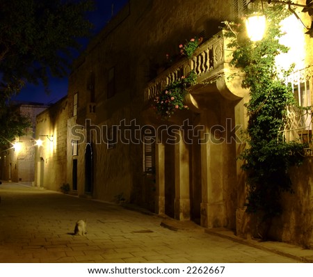 Series of photos taken in the medieval 3000yr old city of Mdina, Malta, by night.