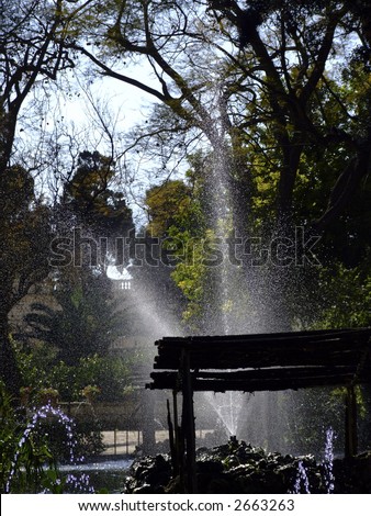 Fountain Series - Photos depicting various public garden fountains and details