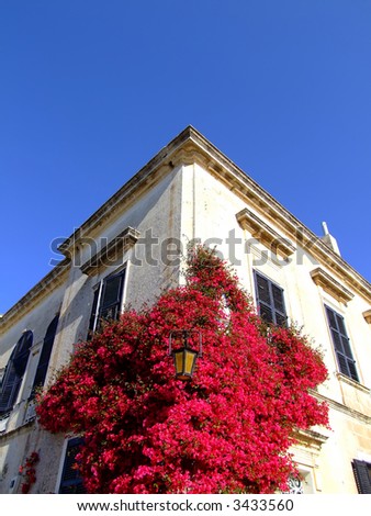Typical limestone Mediterranean house facade with bouganvilla