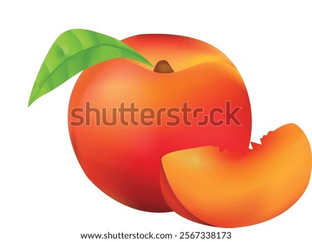 A lifelike peach vector created with the mesh tool, showcasing vibrant colors and soft textures. Perfect for food packaging, branding, cookbooks, advertising, retail displays, and decor in cafes