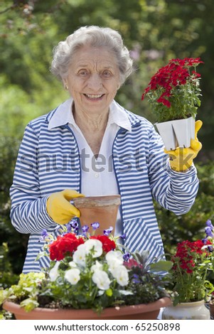A smiling senior woman is standing in front of a table with potted flowers on a table.  She is holding a starter plant she is getting ready to pot. Vertical shot.