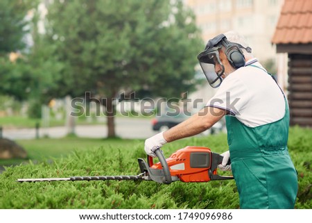 Similar – Image, Stock Photo Senior man pruning branches in back yard