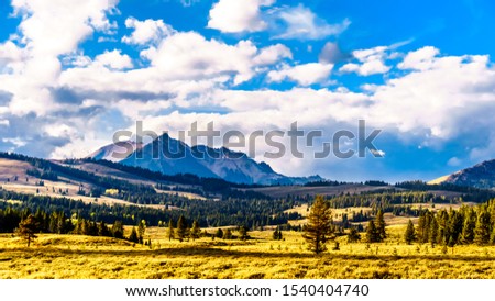 Similar – Image, Stock Photo sepulchers Nature Autumn