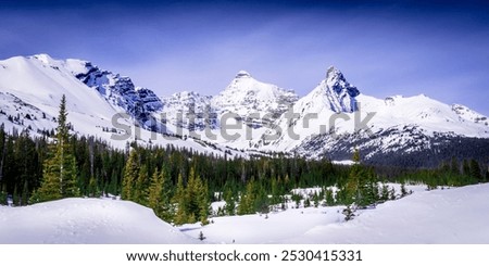 Similar – Image, Stock Photo Bäume im Schnee von oben