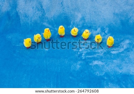 Small semi-circle collection Easter Chicks. Horizontal. Copy Space.