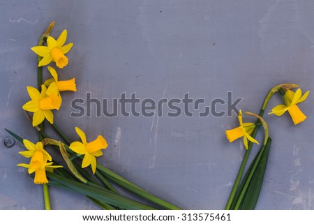 A stunning bunch of daffodils nicely placed on an antique, grey wooden board. Plenty of room for writing on this horizontal format. Different and simple for many various ideas and concepts.