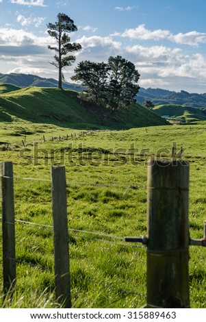 A typical, dramatic landscape of rolling green hills in New Zealand. Late in a spring afternoon, the sun casts strong shadows over the lush, rolling hills. This makes a striking and dramatic scene.