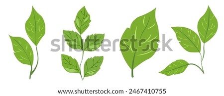 Similar – Image, Stock Photo leaves Leaf foliage Nature