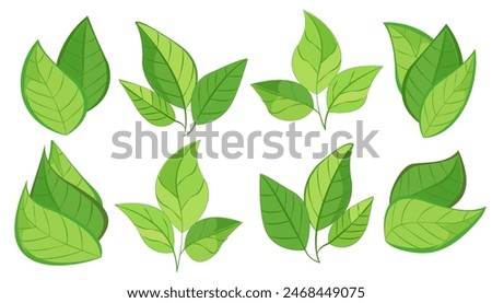 featuring eight different types of green leaves. Each leaf showcases unique shapes and vein patterns. graphic is simple, clean, and vibrant, ideal for nature-themed designs and eco-friendly projects