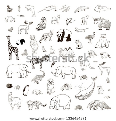 Animal Outlines | Free download on ClipArtMag