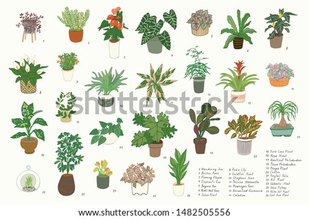 Interior home indoor plants hand drawn vector illustrations set