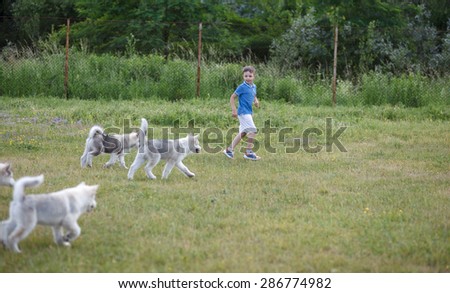 Little boy play football with malamutes puppies