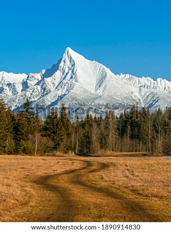 Famous Krivan peak (2494m) winter view - symbol of Slovakia in High Tatras mountains, Slovakia
 Stok fotoğraf © 