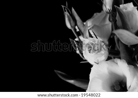 Floral background with copy space.Black and White