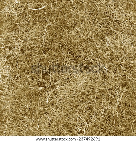 Texture hay closeup in color. Fodder for livestock and construction