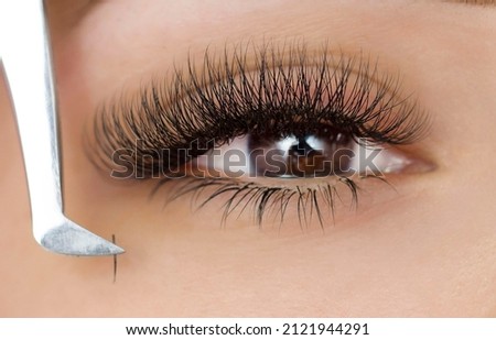 Extension of the lower eyelashes. a young woman undergoes a close-up eyelash extension procedure. Tweezers. Down below Stockfoto © 