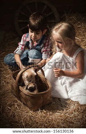 Young children are thrown in the basket of kittens in the barn