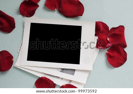 vintage photo frames and petals of a red rose on paper background
