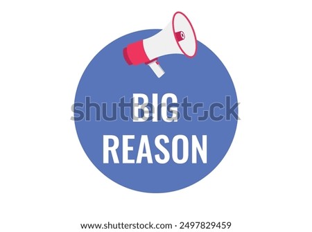 Big Reason button, banner, label, template for website. Big Reason text with colorful megaphone icon