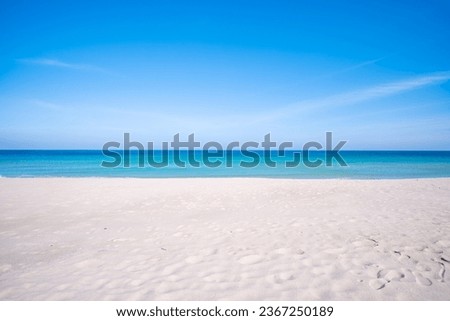 Similar – Image, Stock Photo Empty beach with empty sunbeds and umbrellas without guests