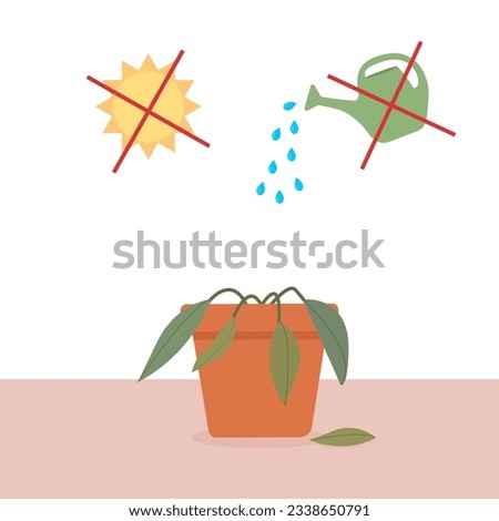 A potted houseplant dying without care or watering.Watering and sunlight symbols  Vector illustration.