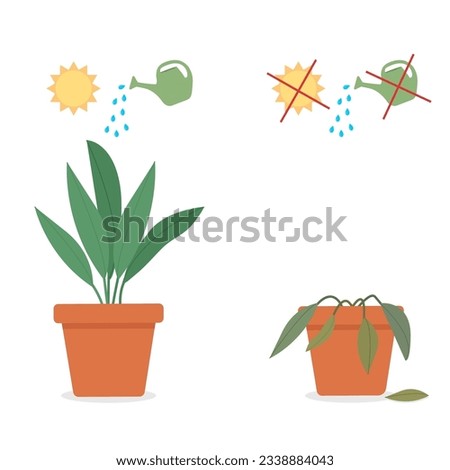 A potted plant with symbols of watering and sunlight and a withered flower without care. Plant care concept. Vector illustration