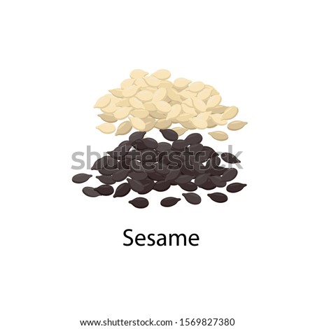 Sesame seeds - vector illustration in flat design isolated on white background.
