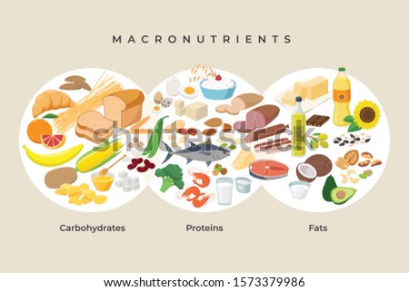 Main food groups - macronutrients. Carbohydrates, fats and proteins in comparison, foods icons in flat design isolated. Dieting, healthy eating concept. Vector illustration, infographic elements.