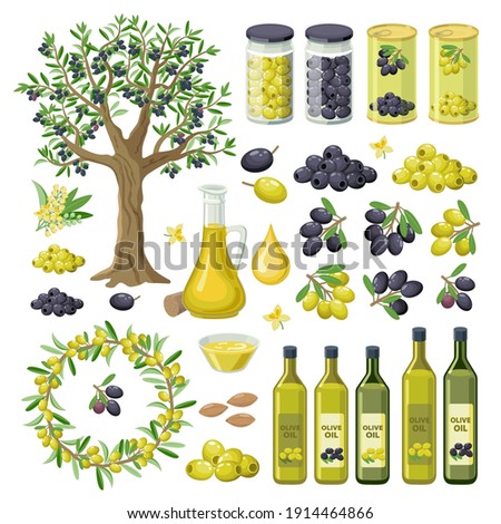 Large collection of olives food, products, olive oil bottles, olive tree,  groups of black and green olives, canned, pickled, branches and leaves. Olives infographic elements isolated on white.
