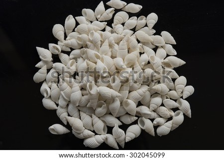 A heap of white natural seashell used as decor ornaments for aquarium landscape and crafts. Black background.