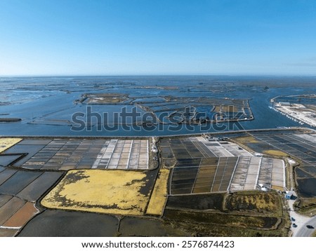 Similar – Image, Stock Photo salt extraction on the île de ré