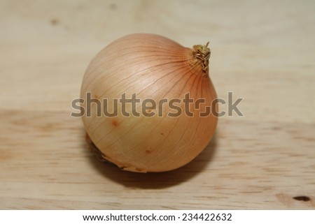 onion on wooden background