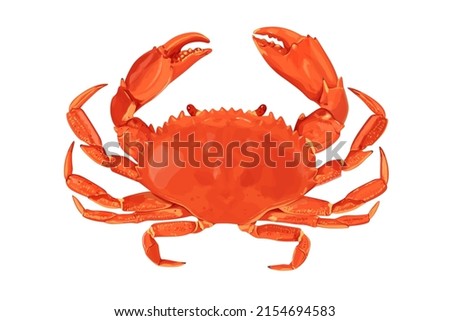Crab isolated on white background. Vector eps 10.  crab vector on sand color background, perfect for wallpaper or design elements