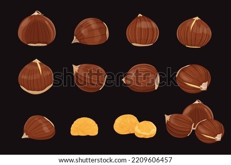 Chestnut vector icon.Cartoon vector icon isolated on black background chestnut.