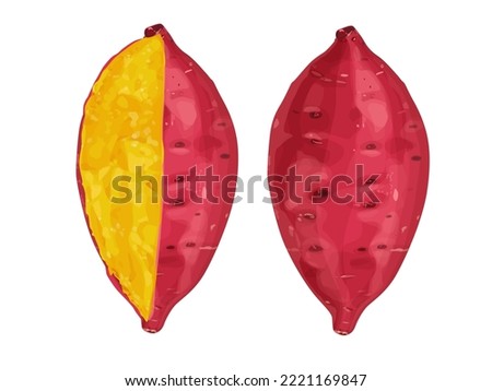 Illustration of whole sweet potato and sweet potato cut in half A smoked yamVector eps 10. perfect for wallpaper or design elements