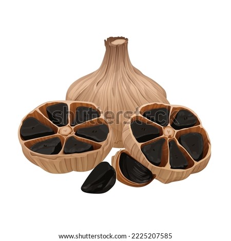 Delicious black garlic isolated on white background. Package design element with cutting path.Vector eps 10., perfect for wallpaper or design elements