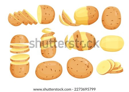 set of Potatoes vector illustration. isolated on white background. Vector eps 10. perfect for wallpaper or design elements	