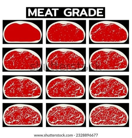 beef grades background. Vector illustration