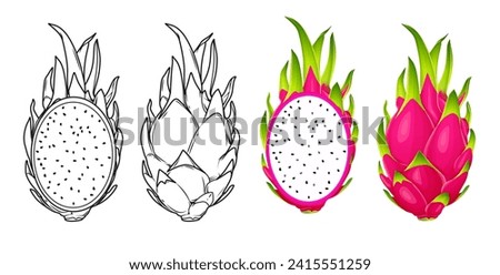 summer tropical fruits for healthy lifestyle red dragon fruit whole fruit and half vector illustration flat cartoon icon isolated on white.Vector eps 10