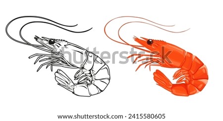 Red cooked shrimp and vector hand drawn shrimp isolated on white background, cartoon style.Vector.