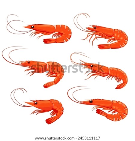 Shrimp icon. Boiled Prawn in shell on a white background. Realistic vector illustration