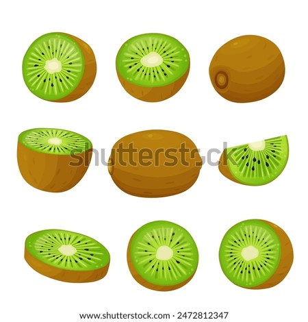  kiwi fruit and half kiwi fruit isolated on white background. Vector eps 10