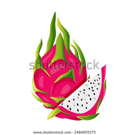 ummer tropical fruits for healthy lifestyle red dragon fruit whole fruit and half vector illustration flat cartoon icon isolated on white.Vector eps 10.